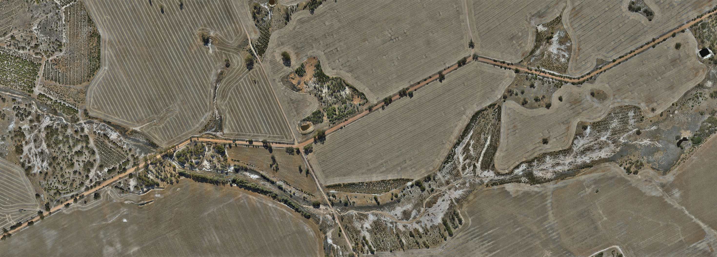 Aerial orthophoto of farmland taken by Sensorem drone technology.