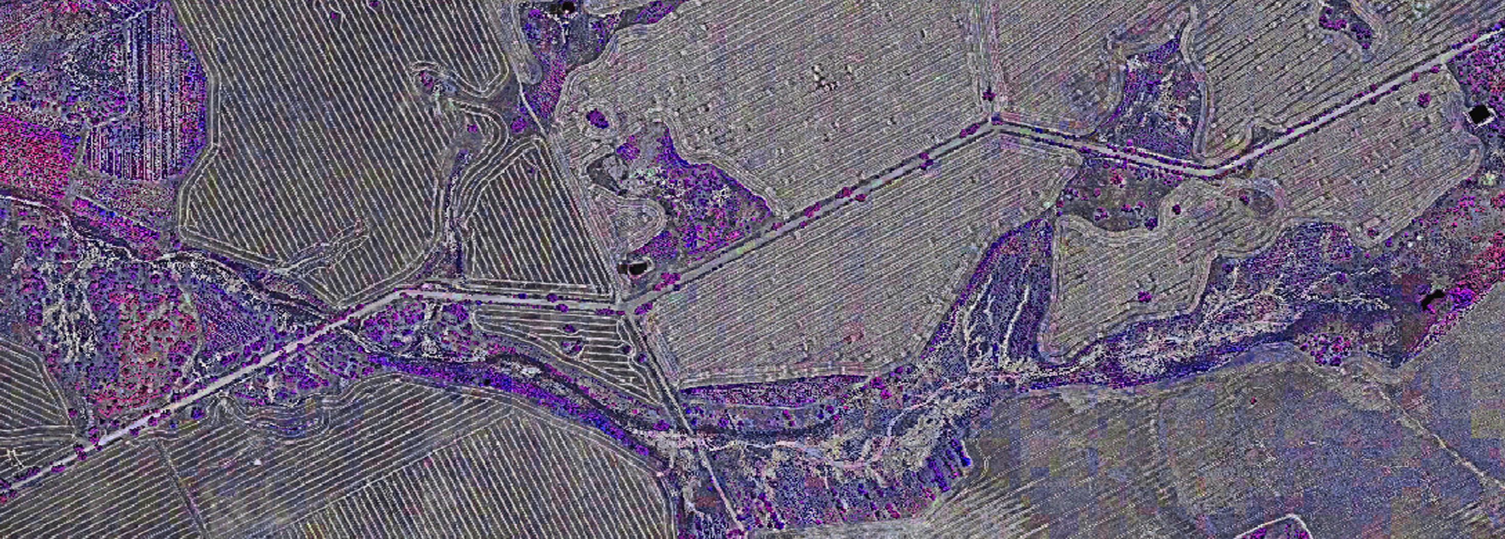 Normalised Difference Vegetation Index scan of farmland taken by Sensorem drone technology.